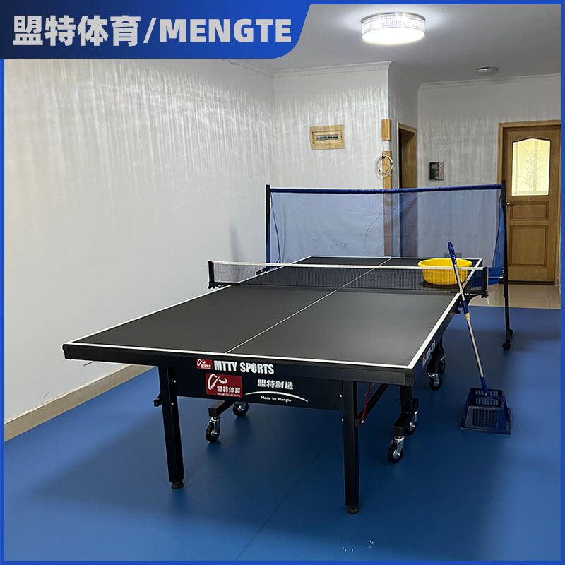 星空电竞乒乓球桌